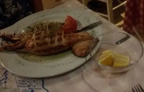 Grilled squid