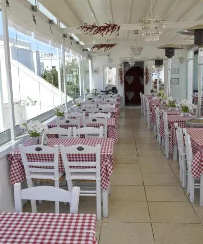 The terrace, 2012