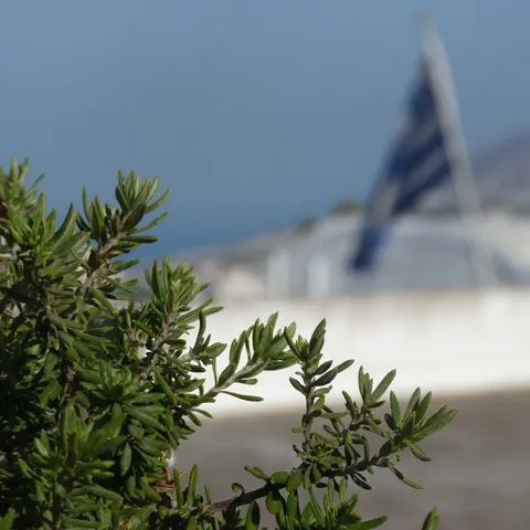 The view from the Ouzeri, 2011
