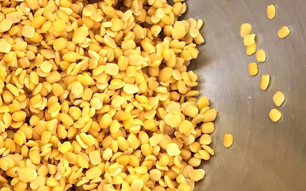 Dried yellow split peas for Santorini fava